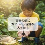 実家の畑にカブトムシ泥棒が入った！