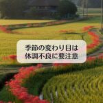 季節の変わり目は体調不良に要注意