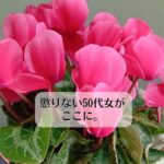 懲りない50女がここに。