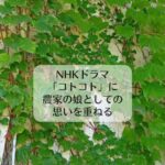 NHKドラマ「コトコト」に農家の娘としての思いを重ねる