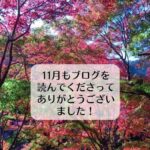 11月もブログを読んでくださってありがとうございました！