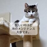 忙しい時ほど体のメンテナンス大事です。