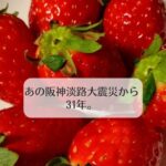あの阪神淡路大震災から31年。