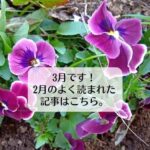 3月です！　2月のよく読まれた記事はこちら。