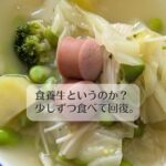 食養生というのか？　少しずつ食べて回復。