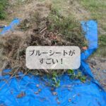 ブルーシートがすごい！