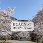 社会人になって30年経ちました