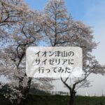 イオン津山のサイゼリアに行ってみた