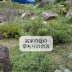 実家の庭の草刈りの余波