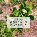 いよいよ能登サミットが迫ってきました