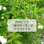 月10ドラマ「銀河の一票」がワクワクする
