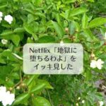 Netflix「地獄に堕ちるわよ」をイッキ見した