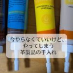 今やらなくていいけど、やってしまう革製品の手入れ