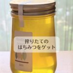 搾りたてのはちみつをゲット