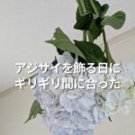 アジサイを飾る日にギリギリ間に合った