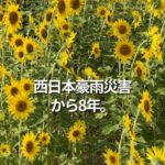 西日本豪雨災害から8年。