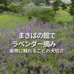 まきばの館でラベンダー摘み　実物に触れることの大切さ