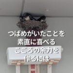 つばめがいたことを素直に喜べるこころの余力を作るには
