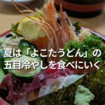 夏は「手打ちうどんよこた」の五目冷やしを食べにいく