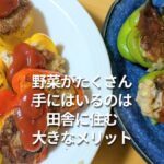 野菜がたくさん手にはいるのは田舎に住む大きなメリット